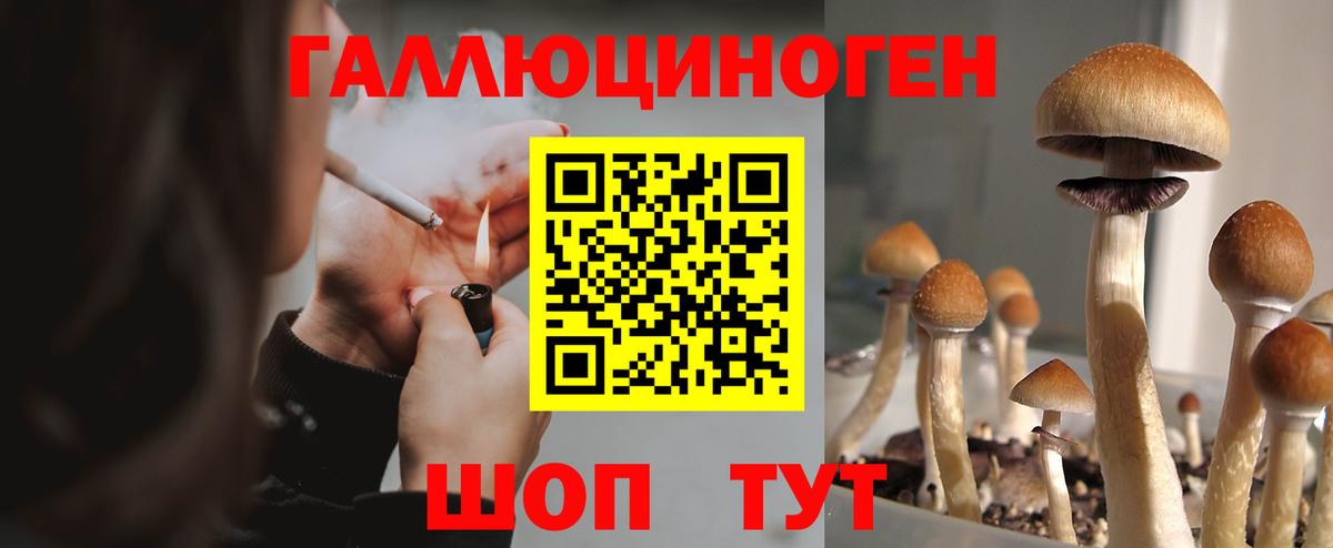 Борзя  Галлюциногенные грибы Psilocybe  Галлюциногенные грибы MAGIC MUSHROOMS  Вход с VPN 