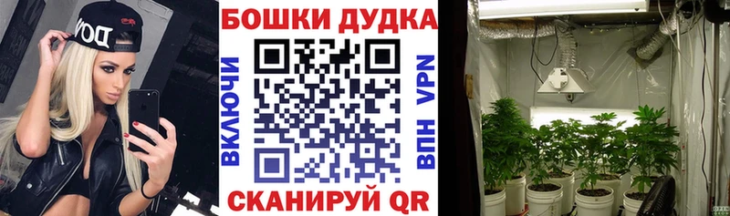 Каннабис AK-47 Борзя